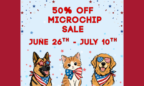 Microchips 50% Off